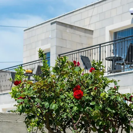 Kabalero فيلة Gruda